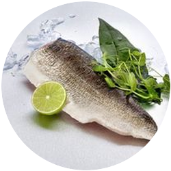 Frozen Whitefish Fillets